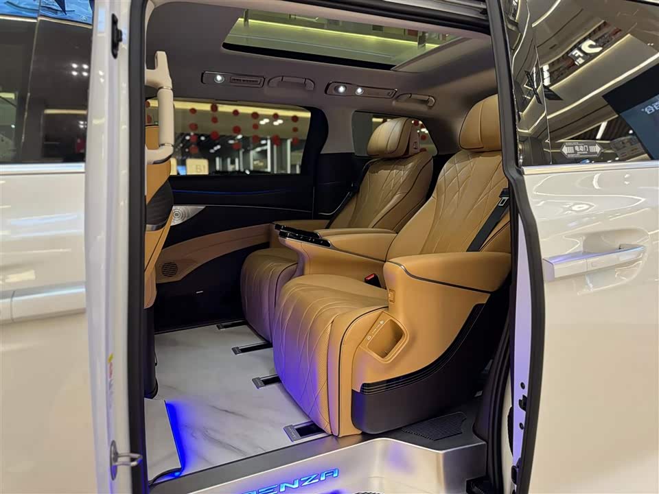 Denza D9