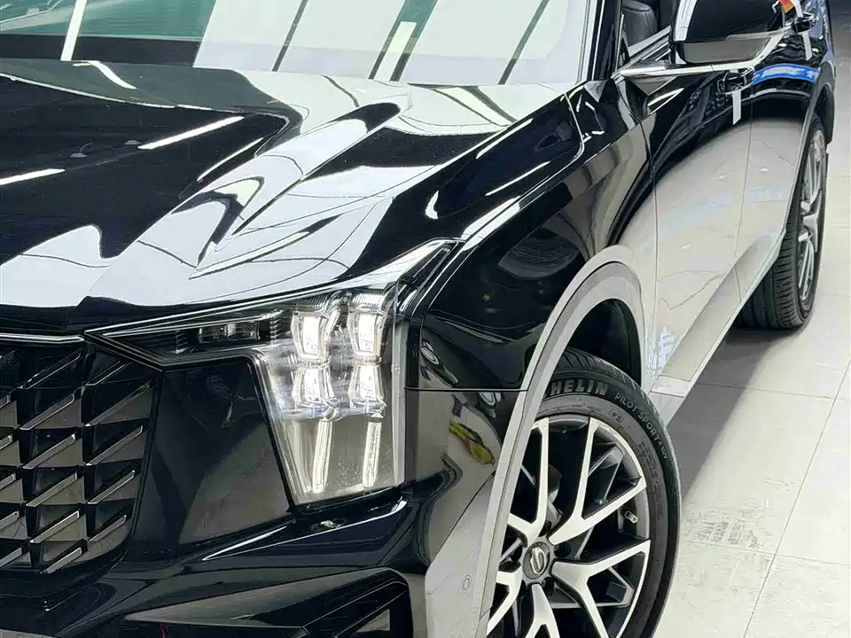 Trumpchi Trumpchi GS8