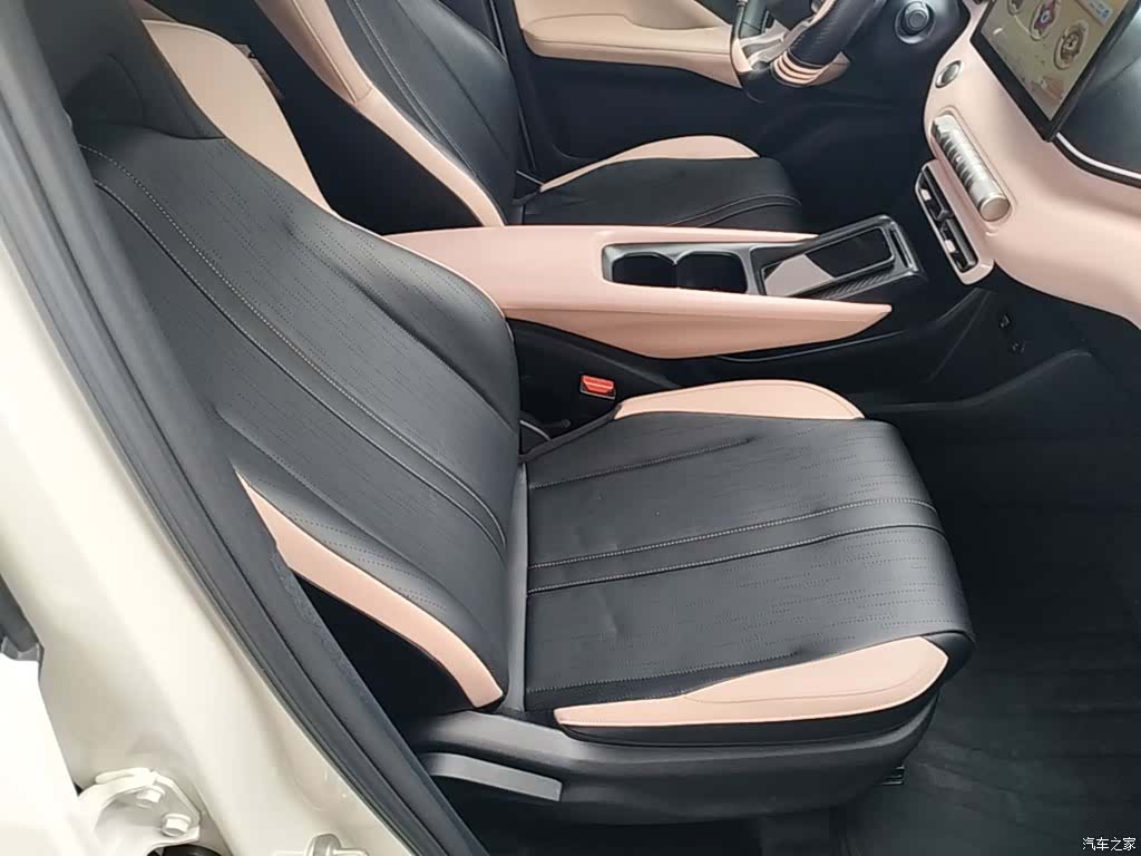 BYD Seagull, 2024 25