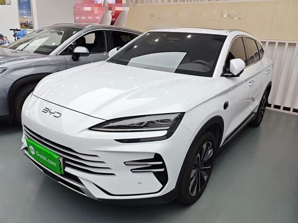 BYD Songjiang
