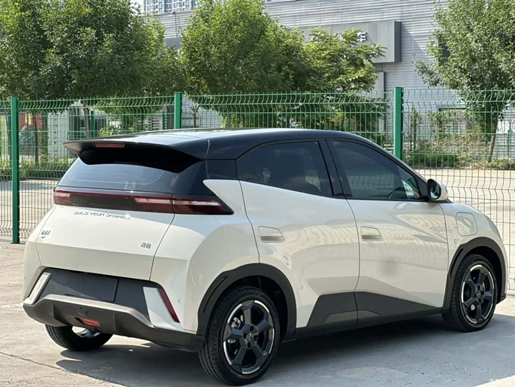 BYD Seagull, 2024 25