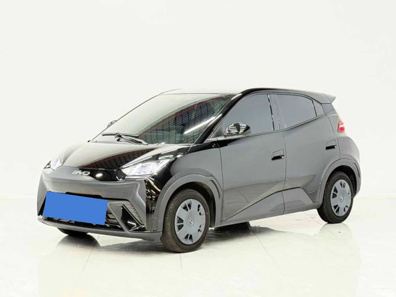 BYD Seagull, 2024 1