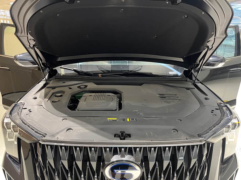 Trumpchi Trumpchi ES9