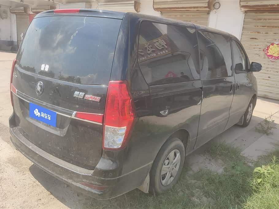 Forthing Lingzhi PLUS