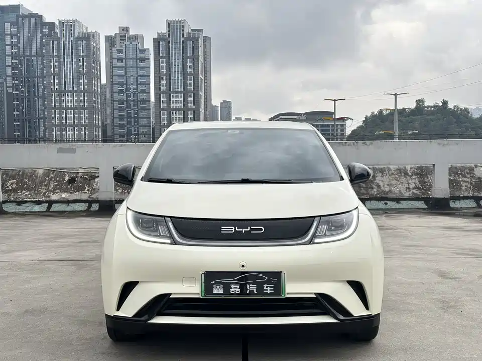 BYD dolphin BYD dolphin
