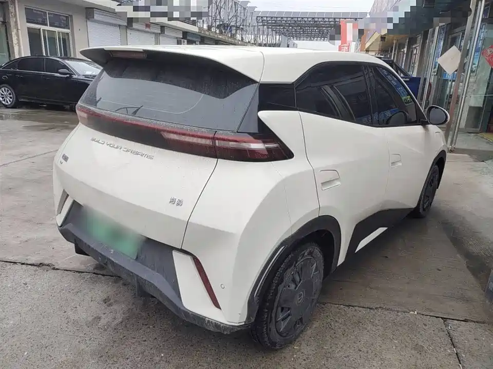 BYD Seagull