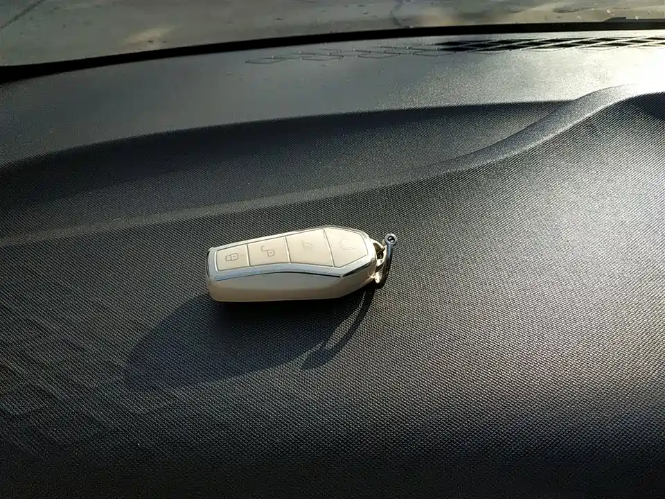 BYD Seagull