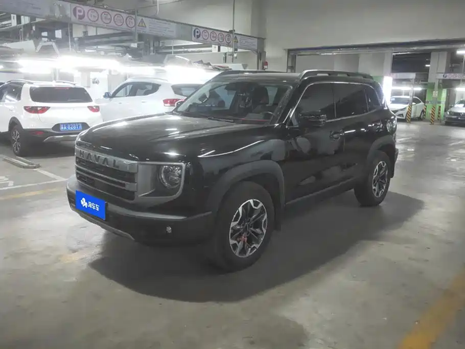 Haval Big dog