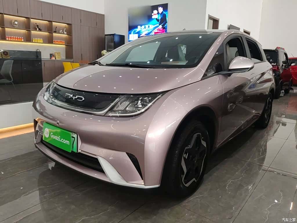 BYD Dolphin, 2022 1