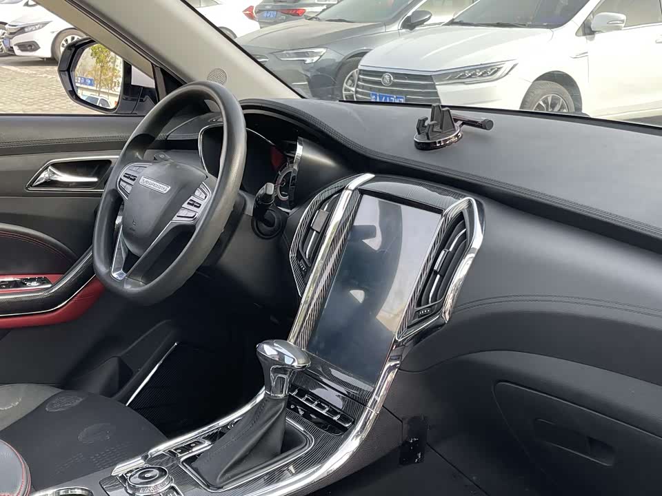 Leopaard Cheetah CS9