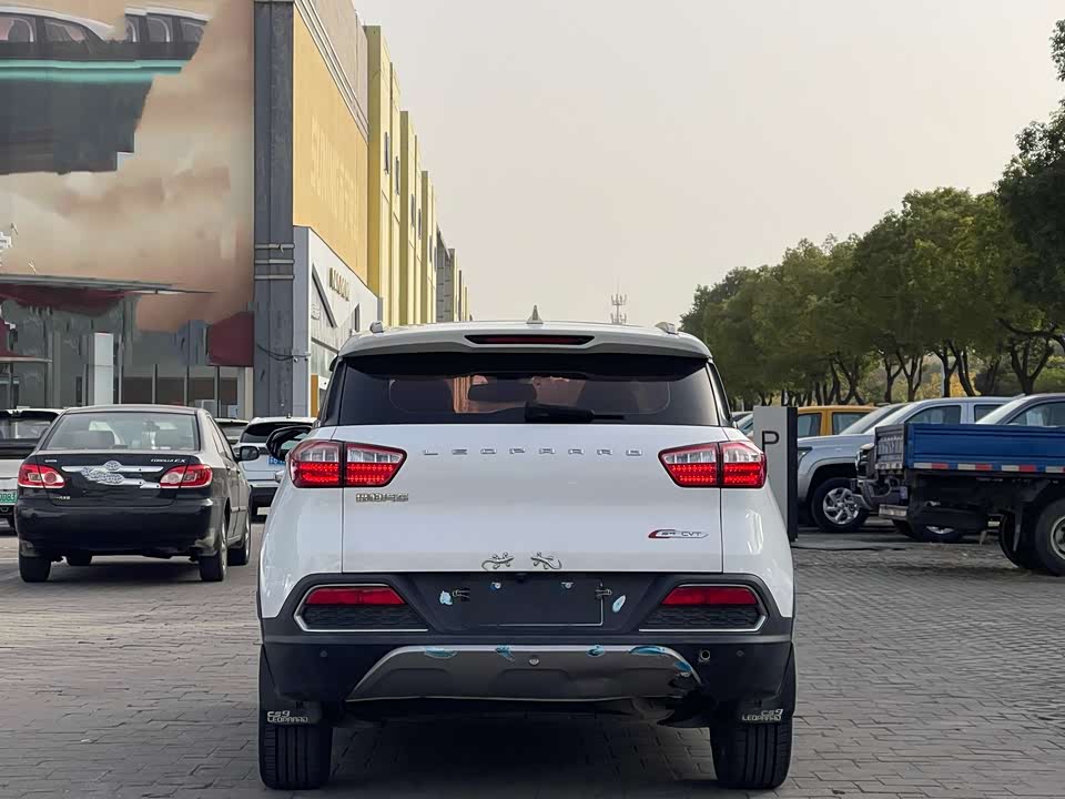 Leopaard Cheetah CS9