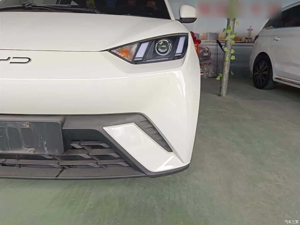 BYD Seagull, 2023 24