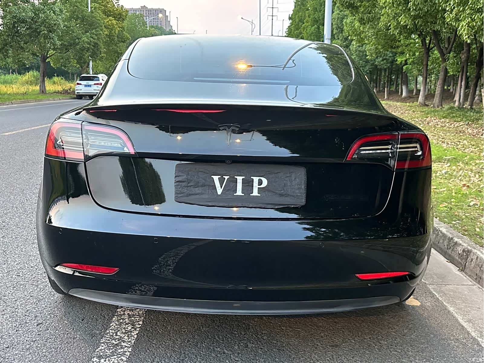 Tesla Model 3, 2022 все фото