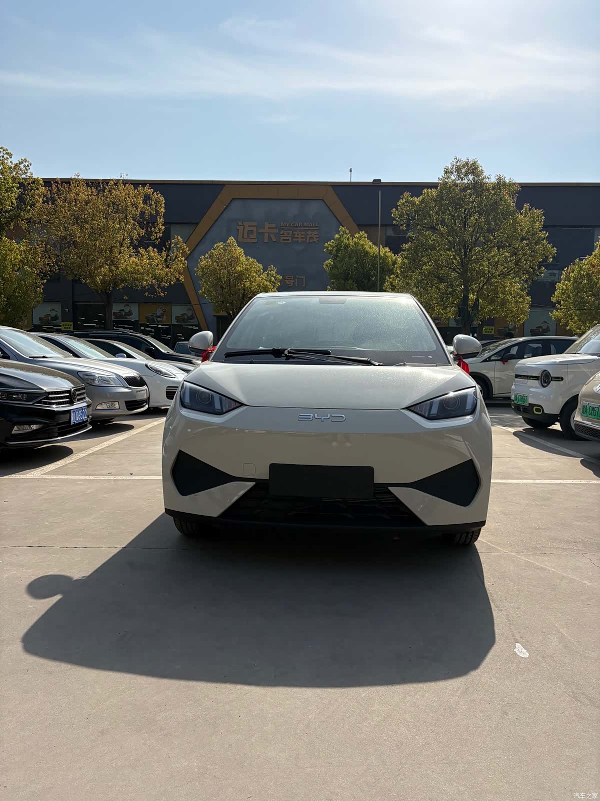 BYD Seagull, 2026 2