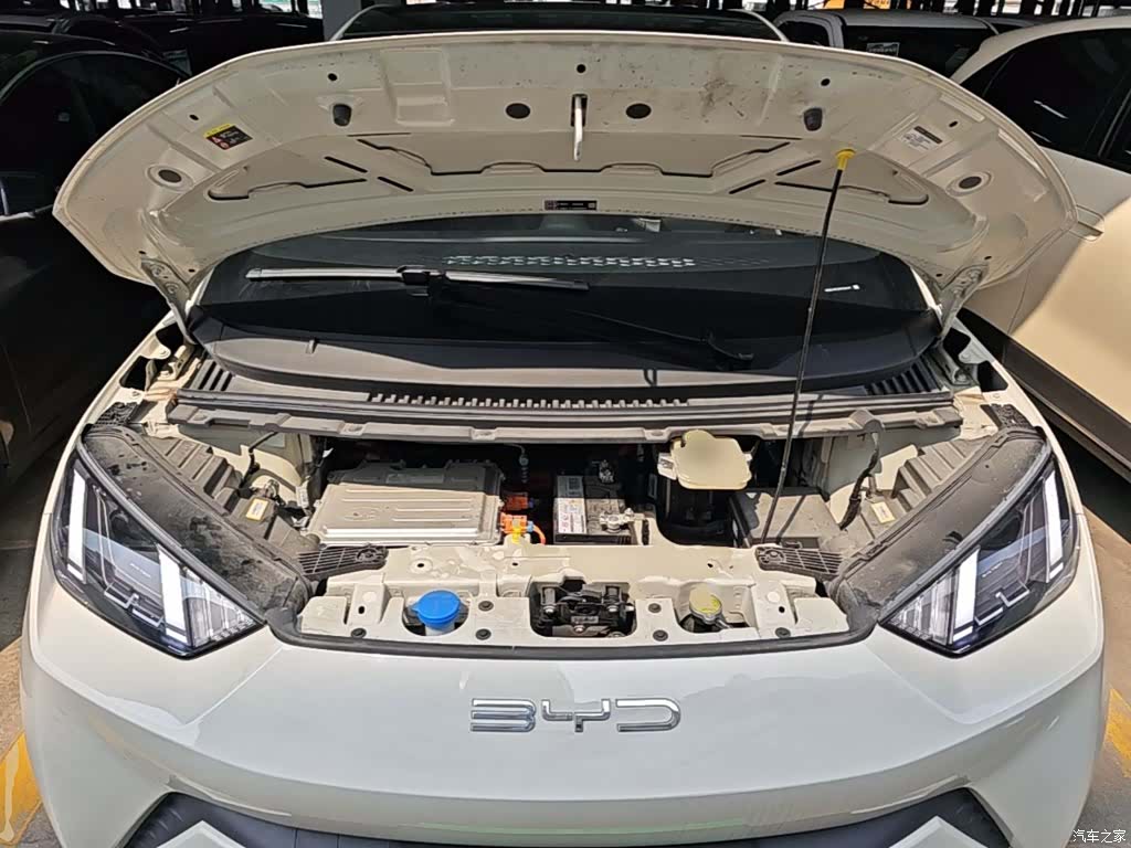 BYD Seagull, 2023 20
