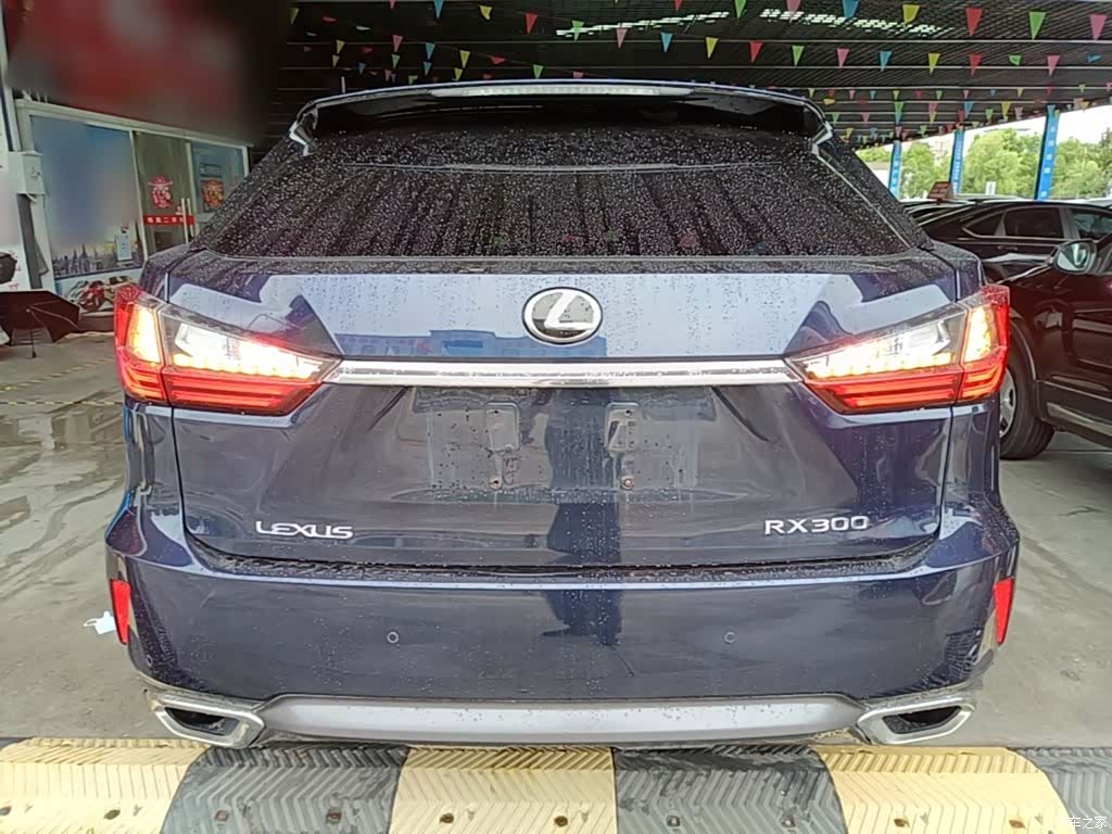 Lexus RX, 2018 6