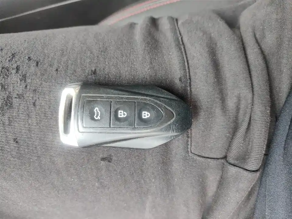 Leopaard Cheetah CS10