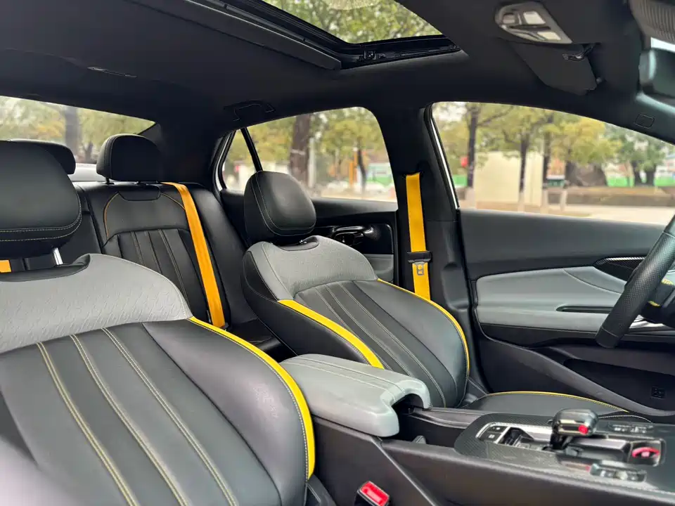 Trumpchi Shadow Leopard