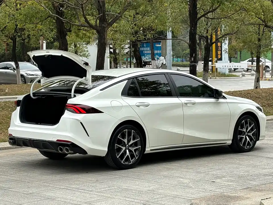 Trumpchi Shadow Leopard
