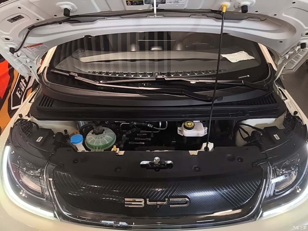 BYD Dolphin, 2025 14