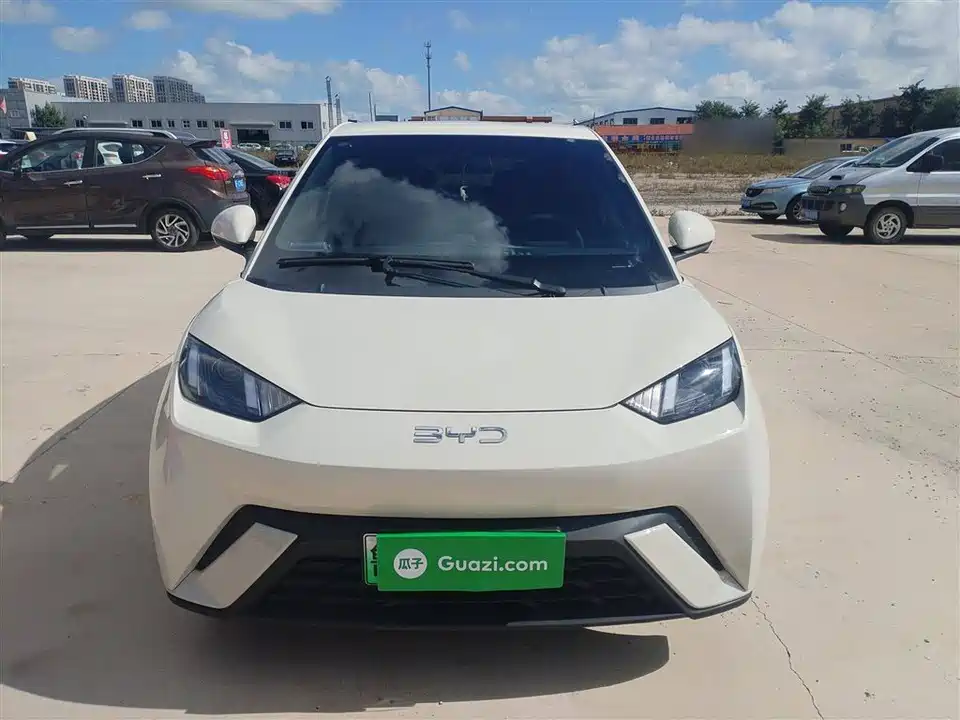BYD Seagull