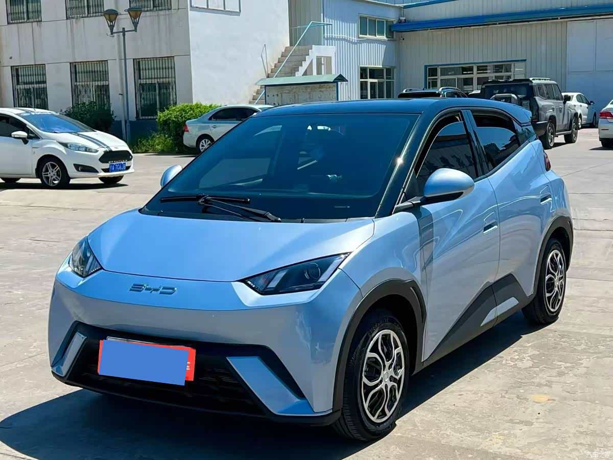 BYD Seagull, 2025 1