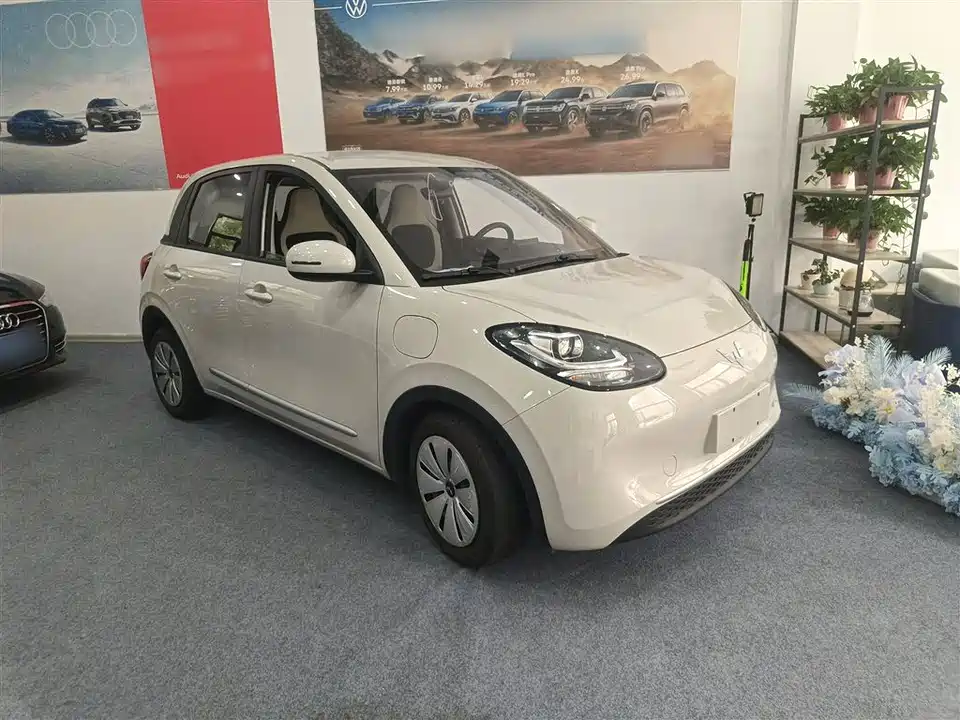 Wuling Wuling Bingguo