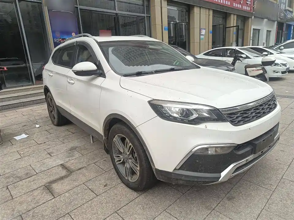 Leopaard Cheetah CS10