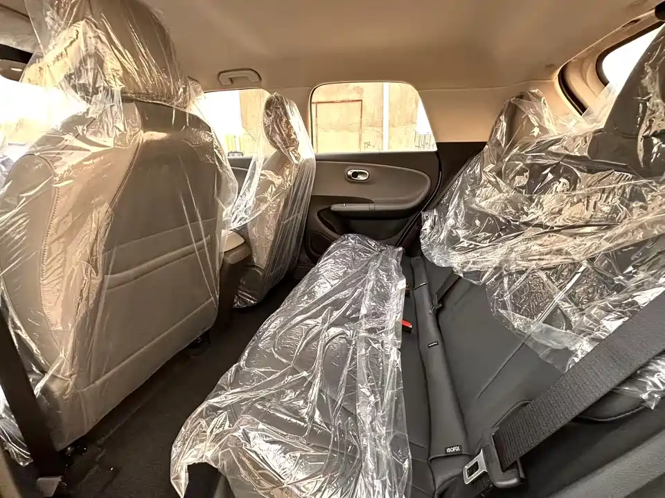 Dongfeng Nammi Nano 01