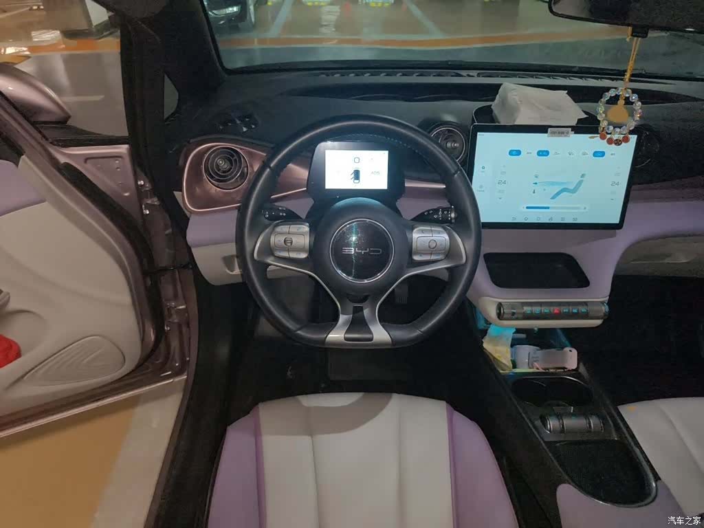 BYD Dolphin, 2022 3