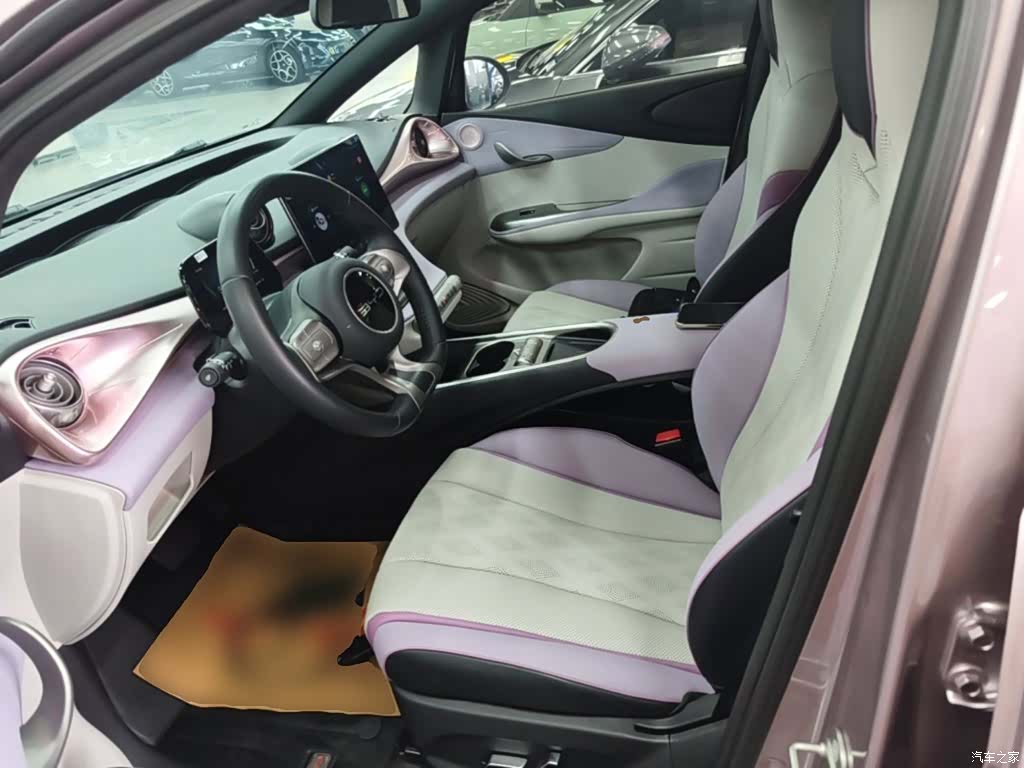 BYD Dolphin, 2023 15