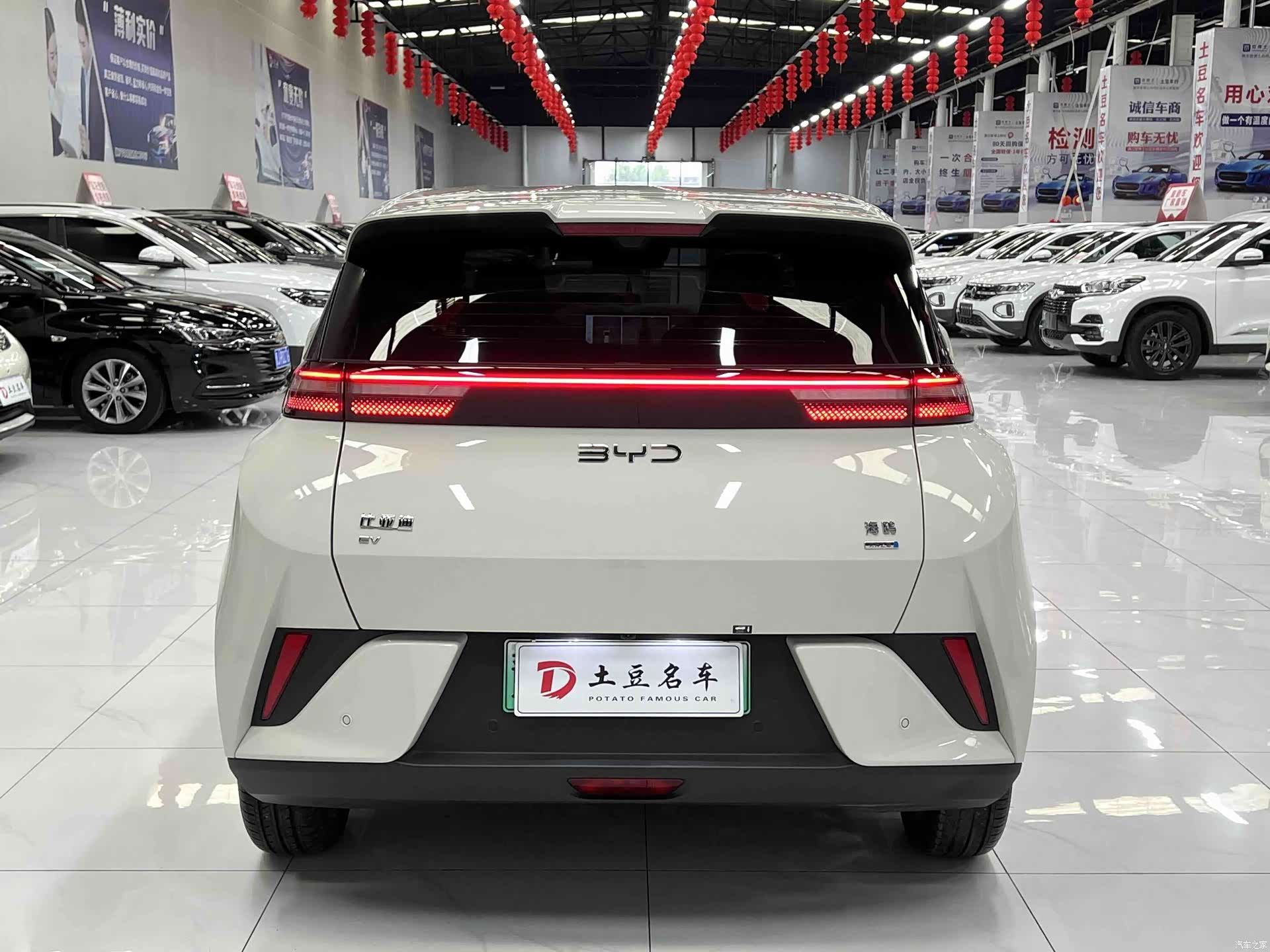 BYD Seagull, 2025 все фото