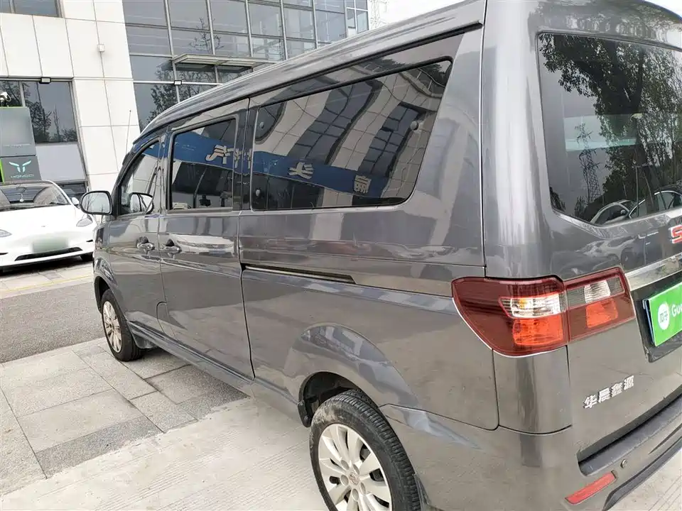 Jinbei Golden Sea Lion M Classic