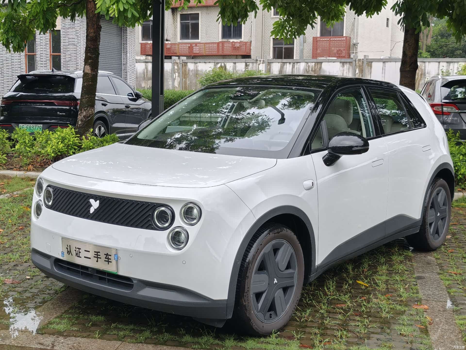 NIO firefly, 2026 1