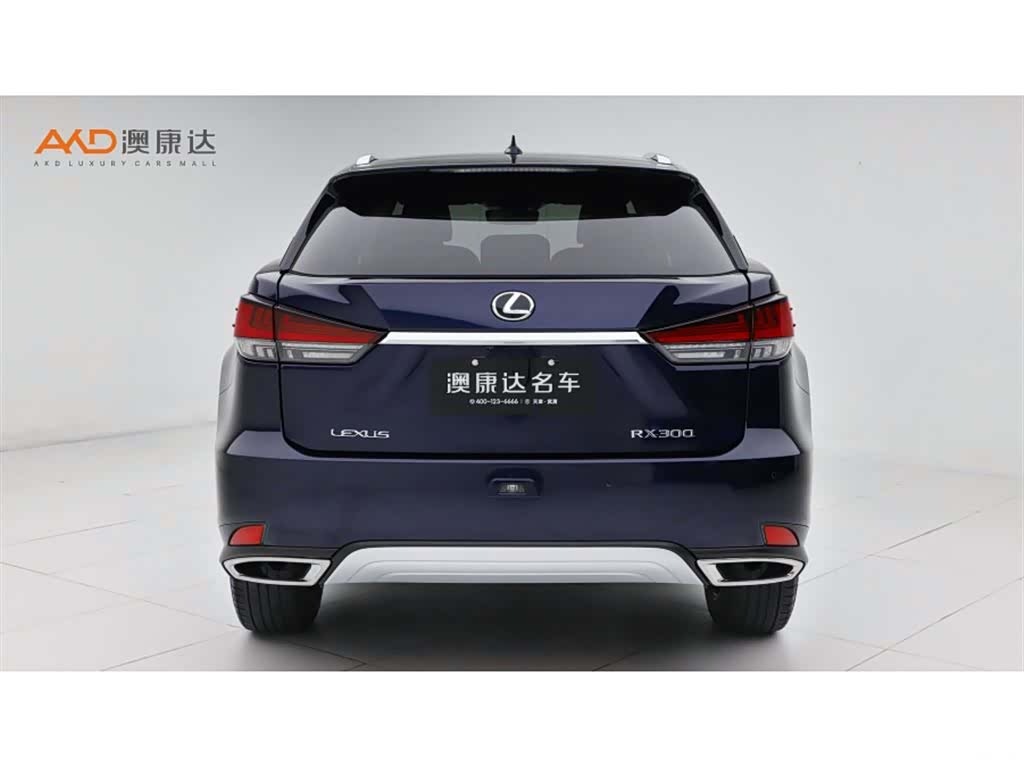 Lexus RX, 2021 4