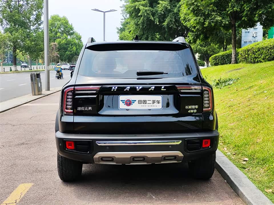 Haval Big dog