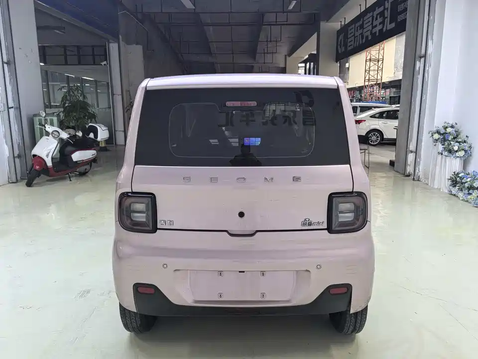Geely Galaxy panda
