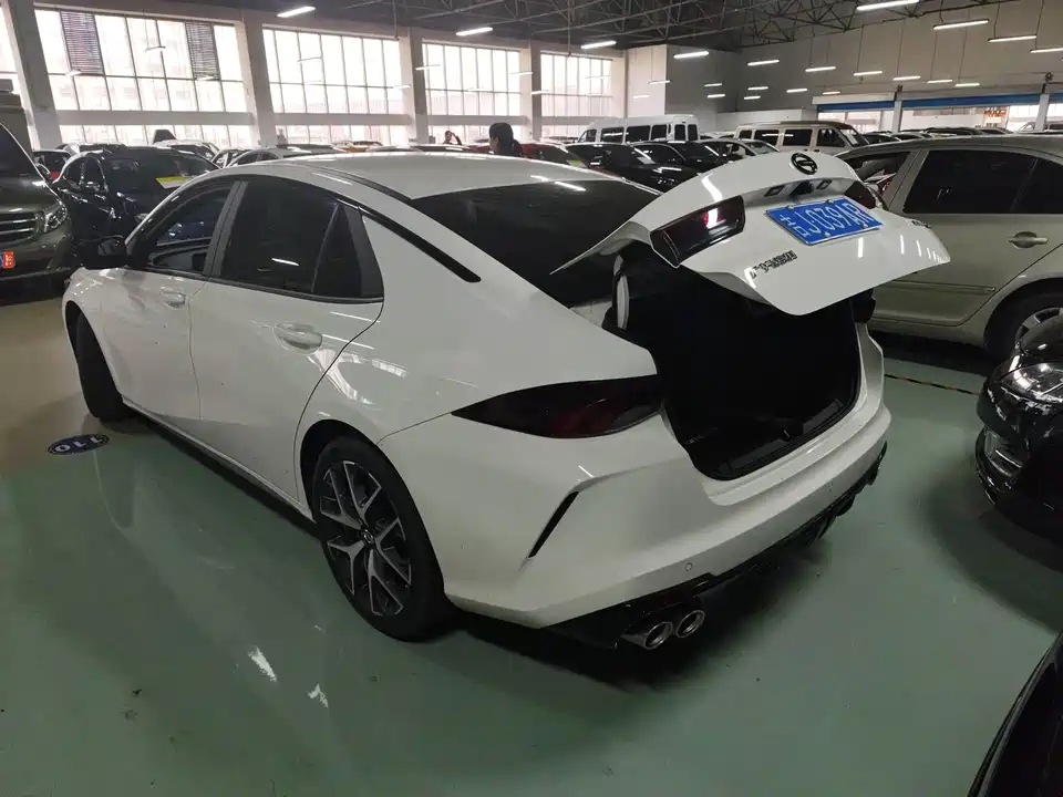 Trumpchi Shadow Leopard