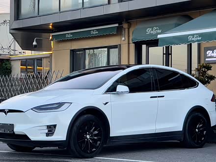 Model X 2017 Model X 100D 