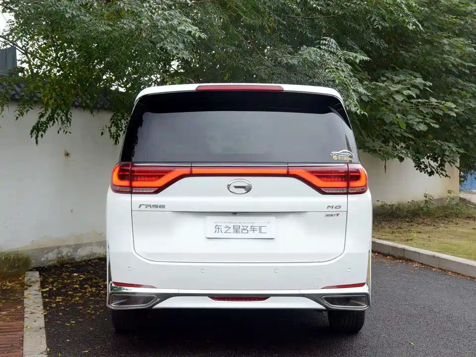 Trumpchi Trumpchi M8