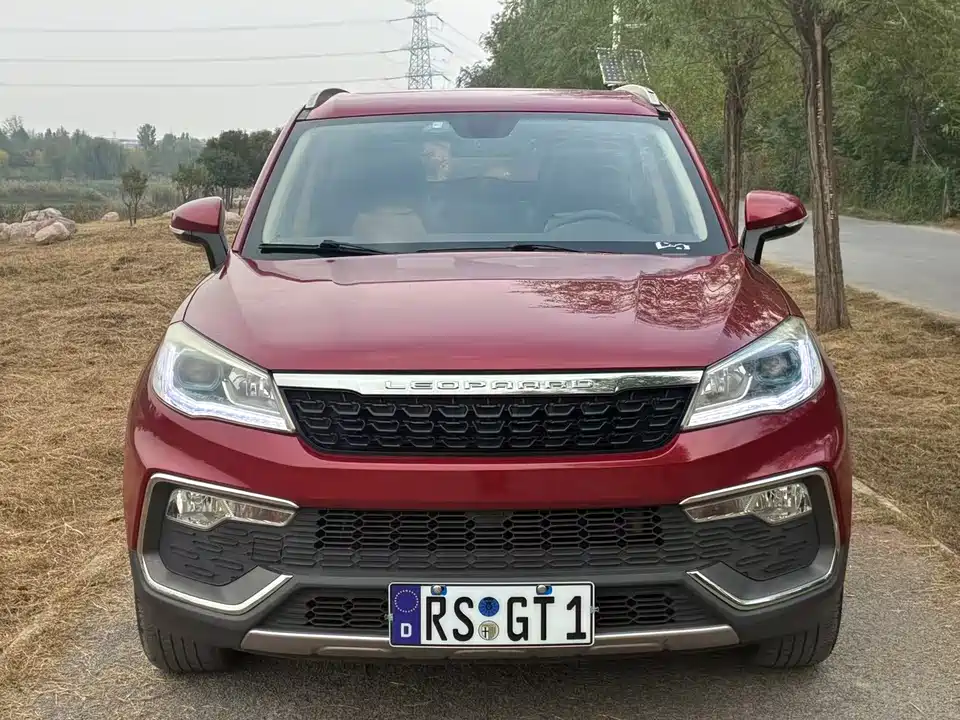 Leopaard Cheetah CS9