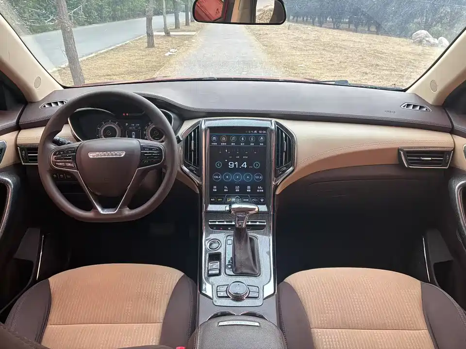 Leopaard Cheetah CS9