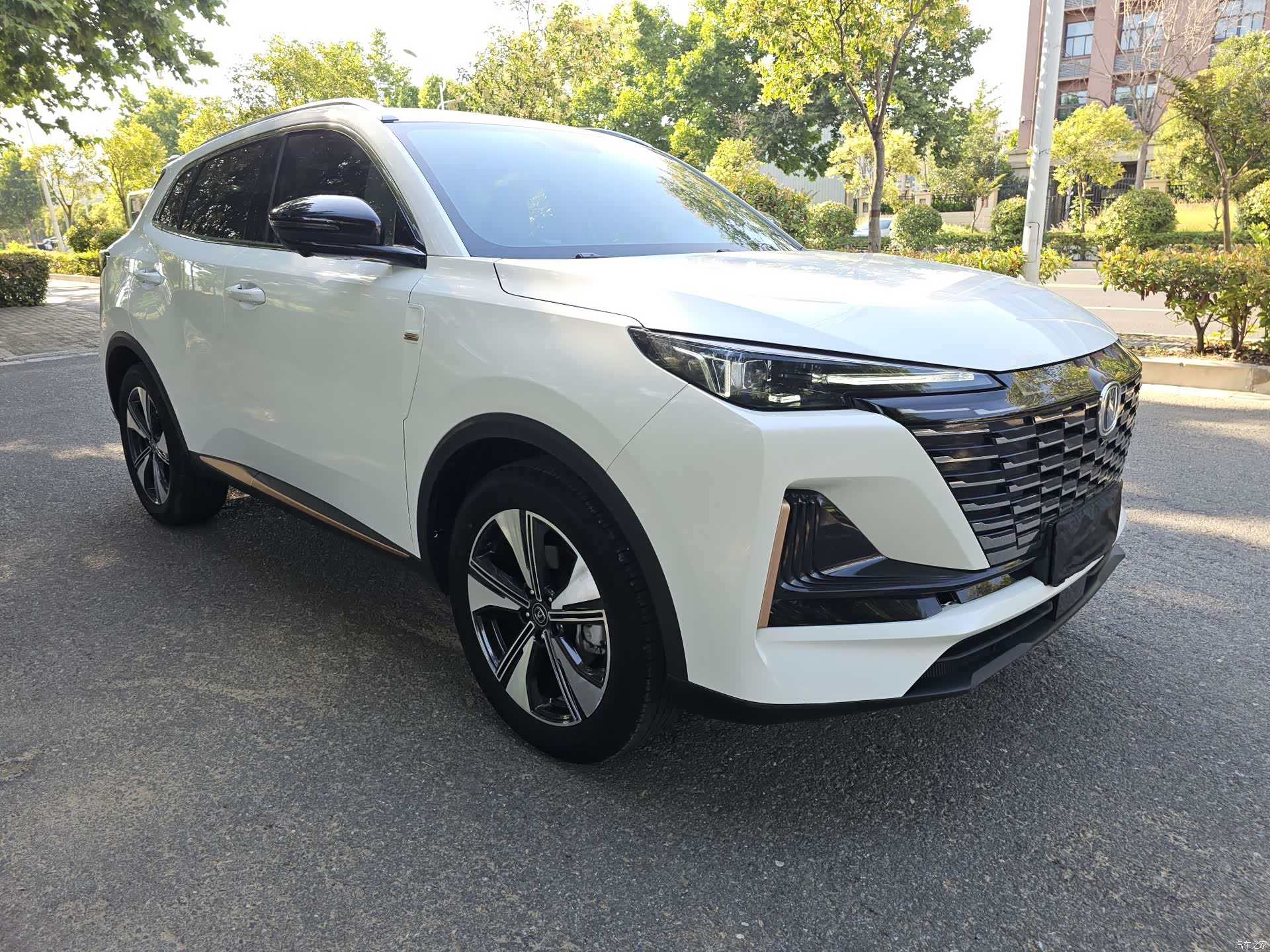Changan CS55, 2023 3