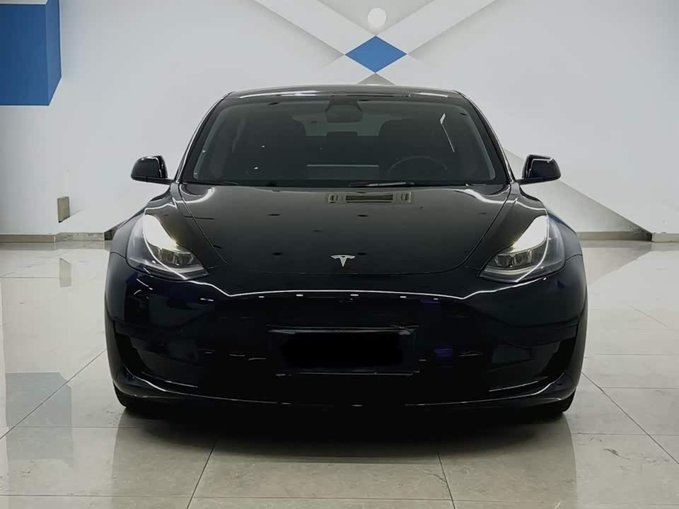 Tesla Model 3 Tesla Model 3
