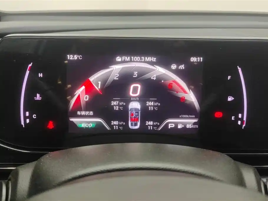 Trumpchi Shadow Leopard