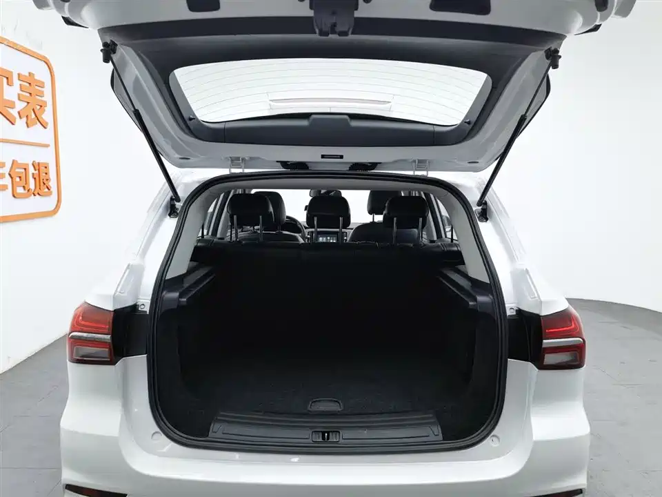 Roewe RX5 New energy