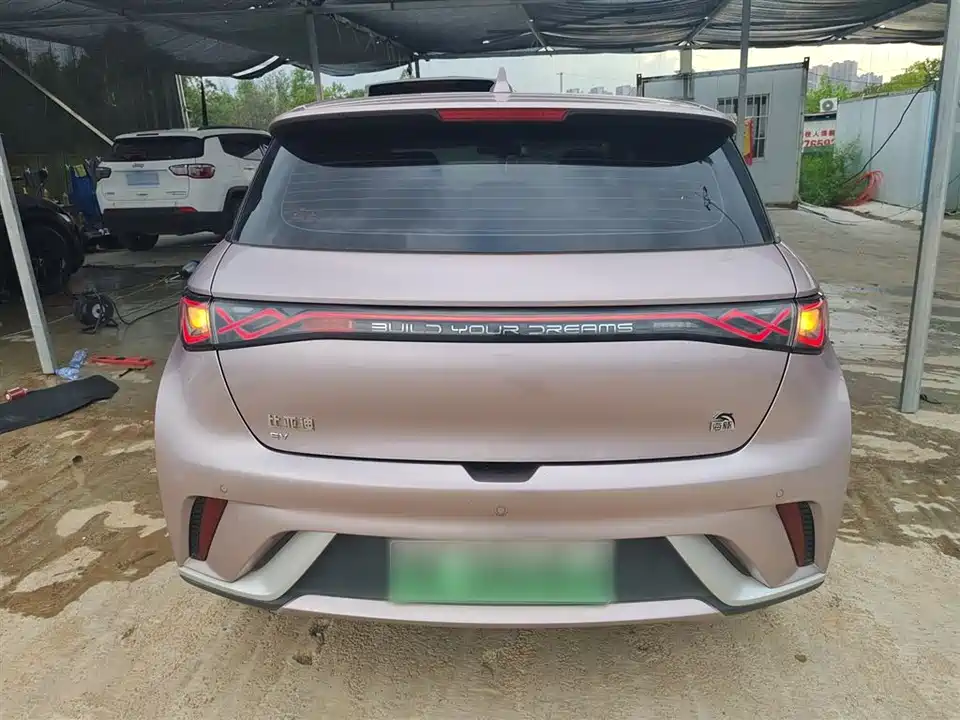 BYD dolphin