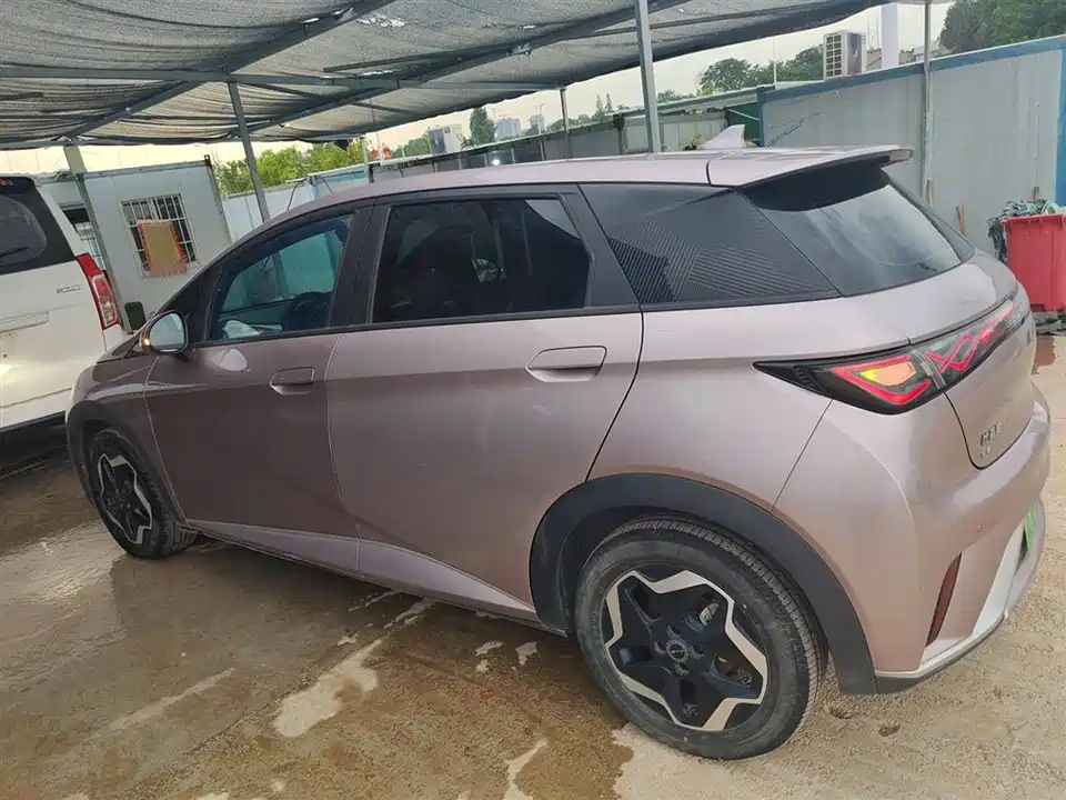 BYD dolphin
