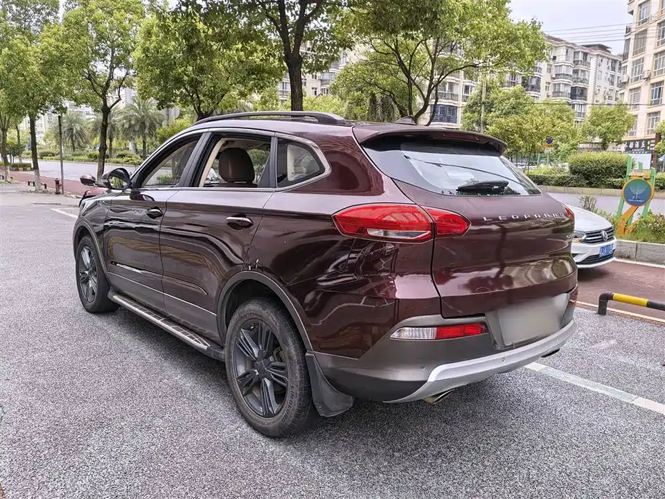 Leopaard Cheetah CS10