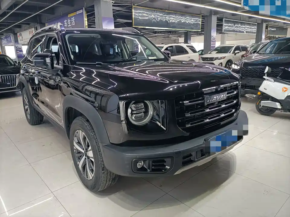 Haval Big dog